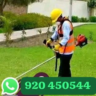 SERVICIO DE JARDINERIA A DOMICILIO EMPRESAS CONDOMINIOS en Lima - Imagen 4
