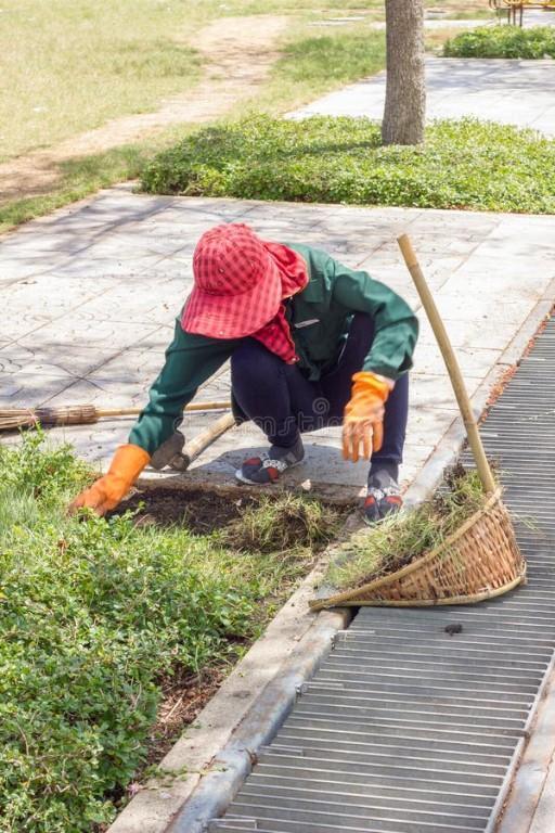 SERVICIO DE JARDINERIA A DOMICILIO EMPRESAS CONDOMINIOS en Lima - Imagen 5