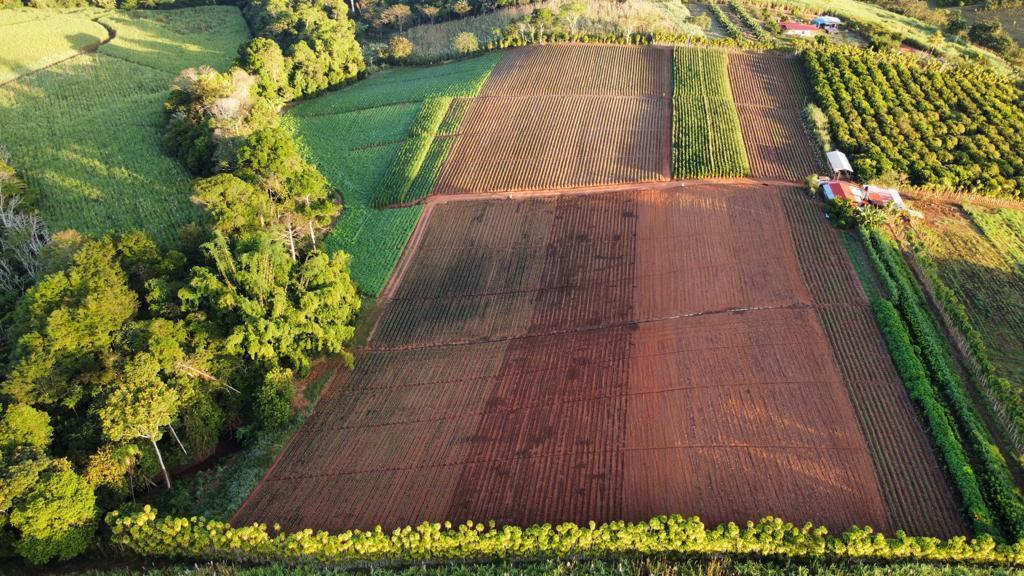 EN VENTA FINCA AGROINDUSTRIAL COSTA RICA en Venezuela - Imagen 6