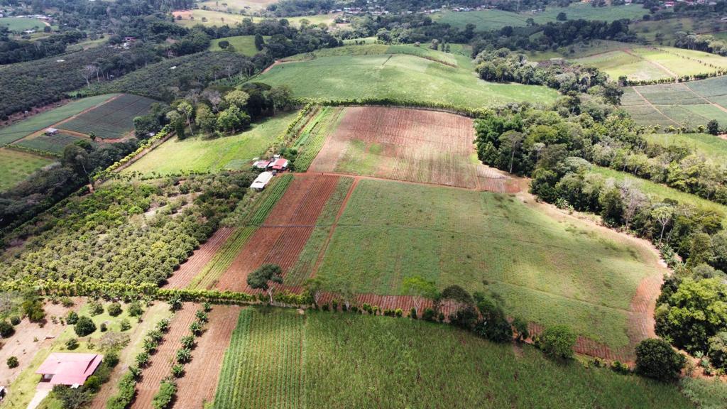 EN VENTA FINCA AGROINDUSTRIAL COSTA RICA en Venezuela - Imagen 7