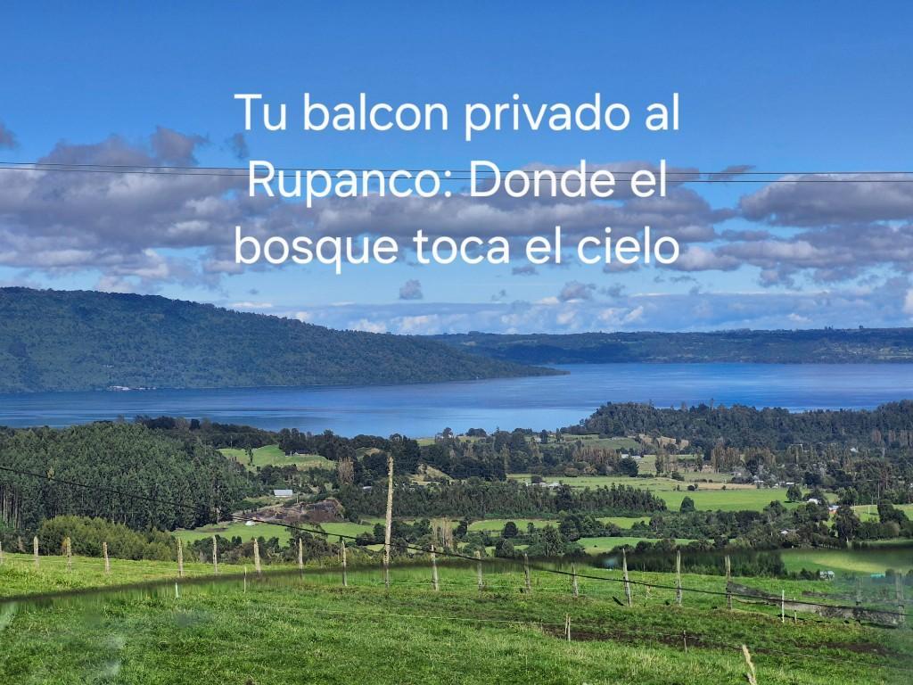 Se vende Parcela, Lago Rupanco, Lago Puyehue. en Llanquihue - Imagen 2