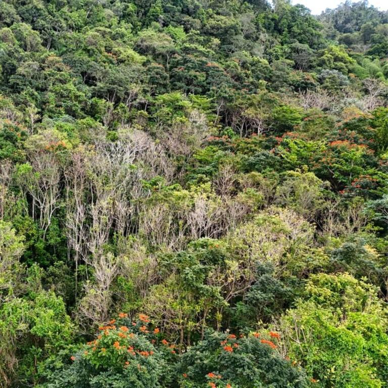 Manati Bo Rio Arriba Poniente en Peñuelas - Imagen 3