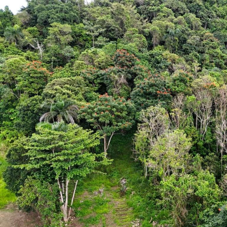 Manati Bo Rio Arriba Poniente en Peñuelas - Imagen 2