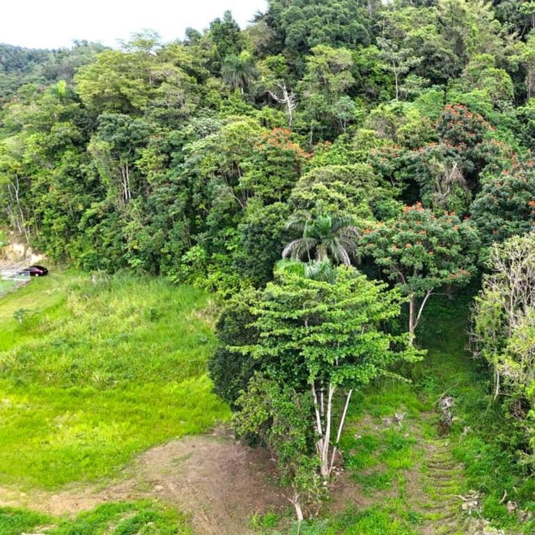 Manati Bo Rio Arriba Poniente en Peñuelas - Imagen 4