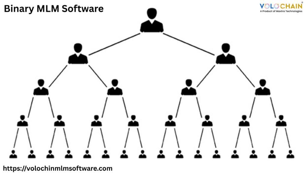 Enhance Efficiency By Using Binary MLM Software Solutions in Noida - Image 1