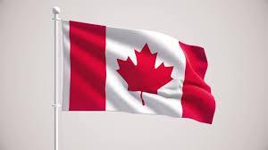 Getting CUT never felt so good in Canada - Image 2