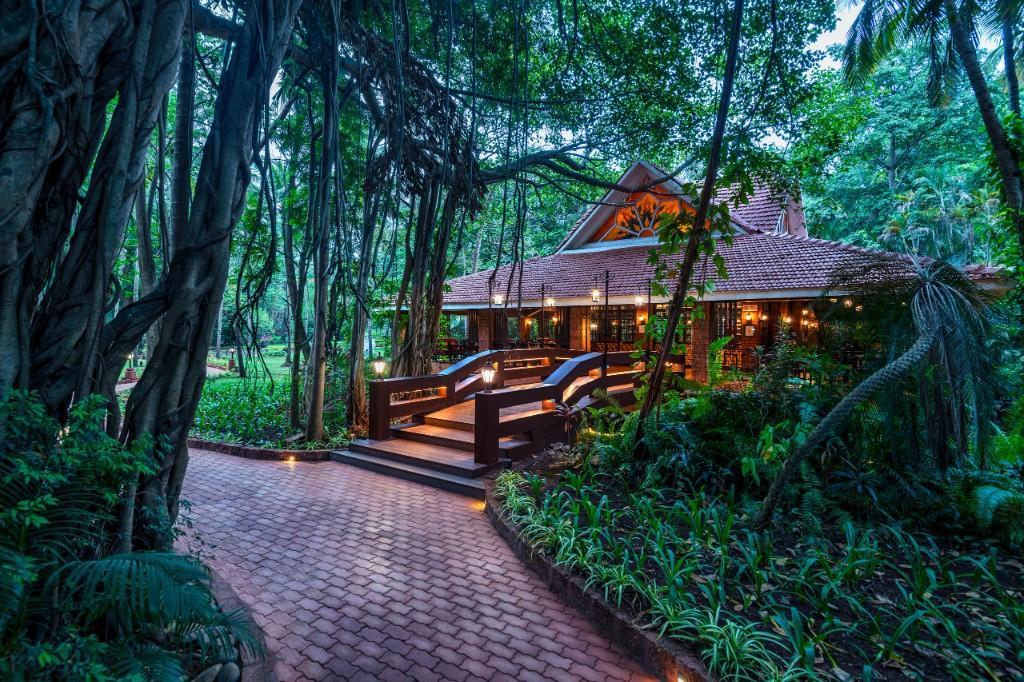 The Vertical Story | Creative Content Studio In Kerala in Kochi - Image 8