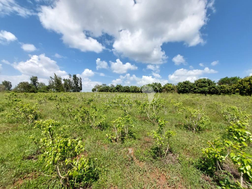 Prime 10 Acres Agricultural Land For Sale In Embu in Kenya - Image 3