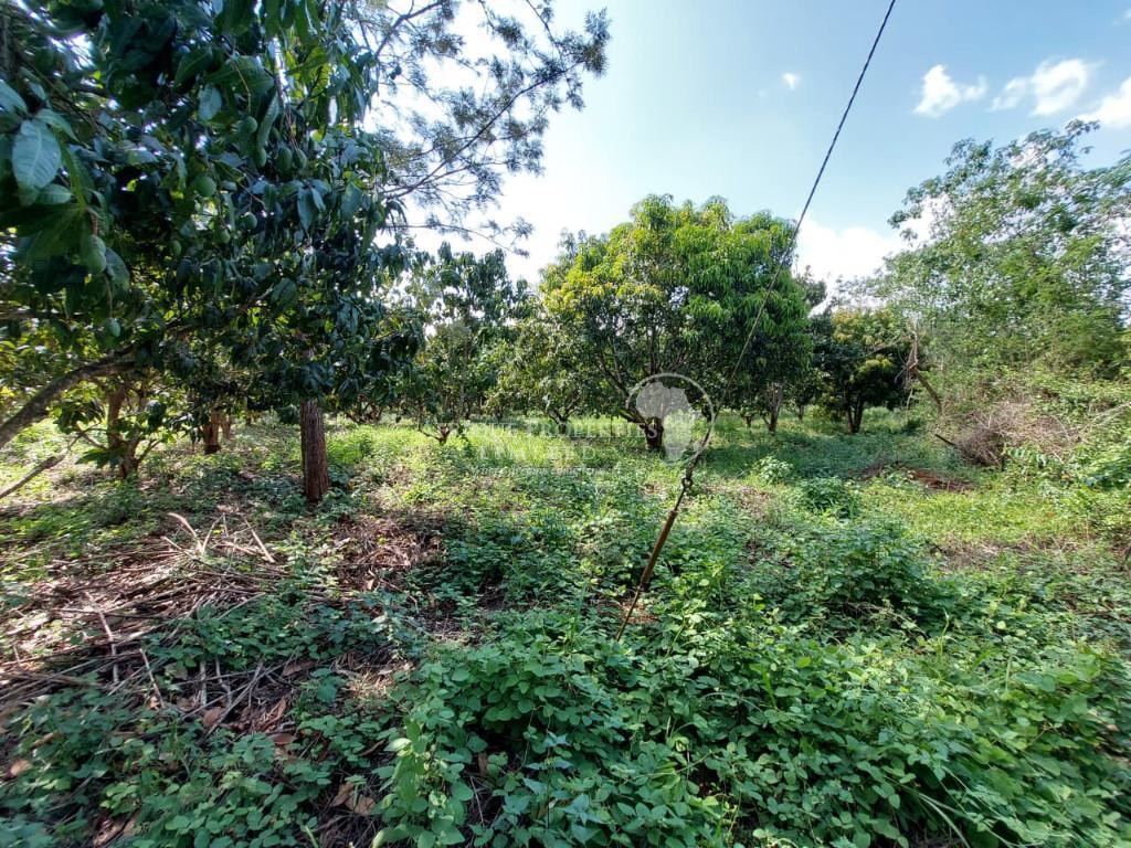 Prime 10 Acres Agricultural Land For Sale In Embu in Kenya - Image 6