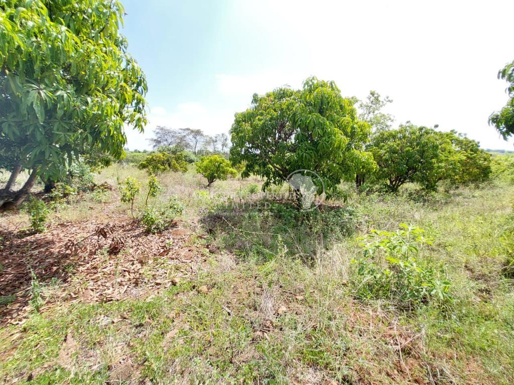 Prime 10 Acres Agricultural Land For Sale In Embu in Kenya - Image 11