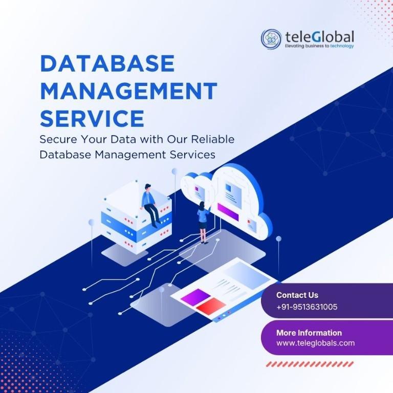 Application & Database Management Services by TeleGlobal in India - Image 1