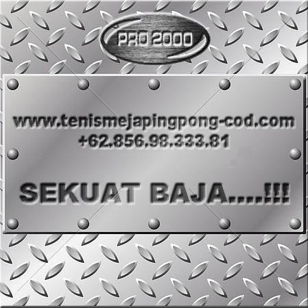 Tenis meja pingpong merk ROBOTICS in Indonesia - Image 4