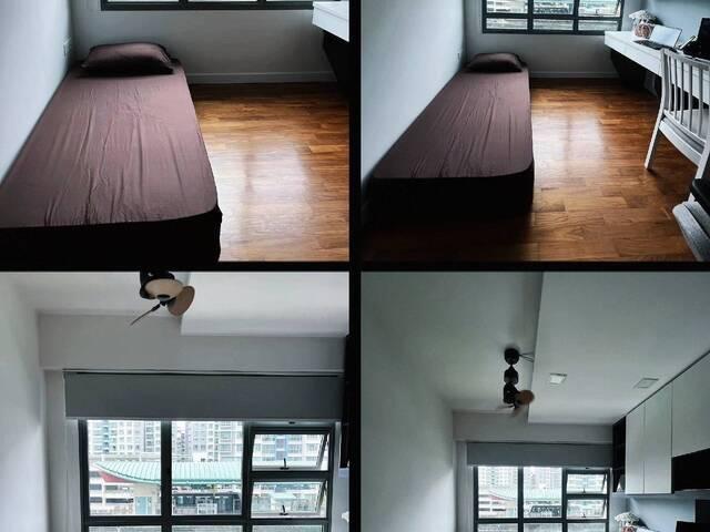 2 ROOMS AVAILABLE, SUPER RARE! SUPER LOCATION, CAN SEE … in Punggol - Image 1
