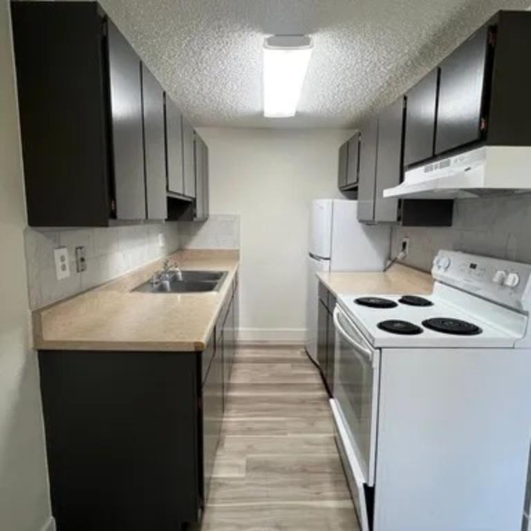 1BEDROOM 1BATHROOM AVAILABLE in Loveland - Image 3