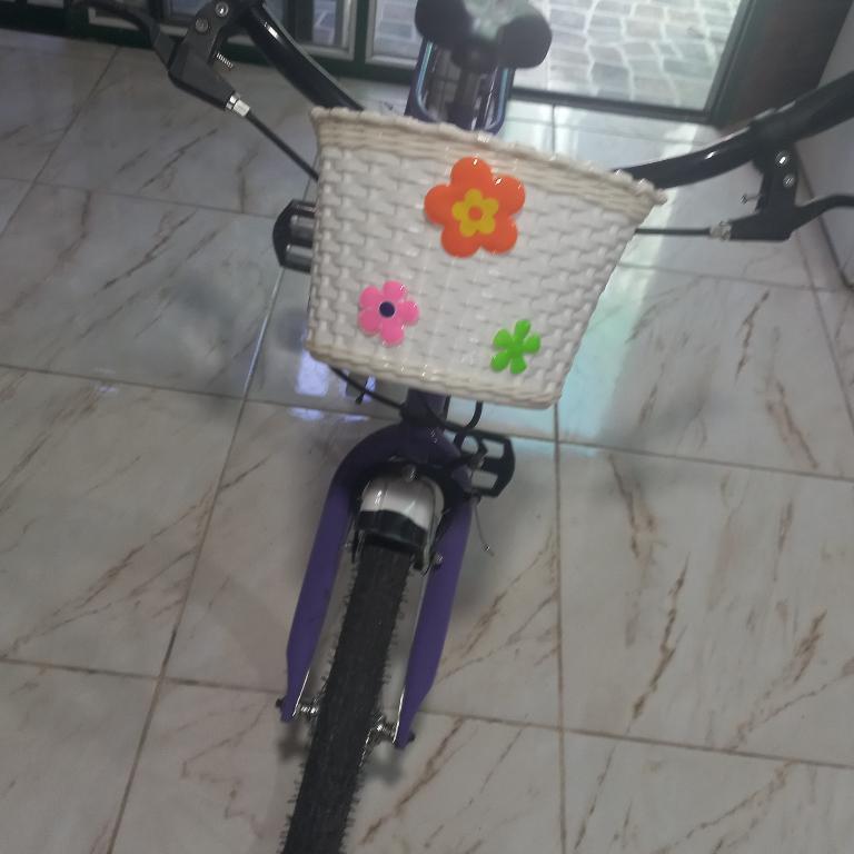 BICICLETA DE NIÑA RODADO 20 en Ciudad Celina - Imagen 1