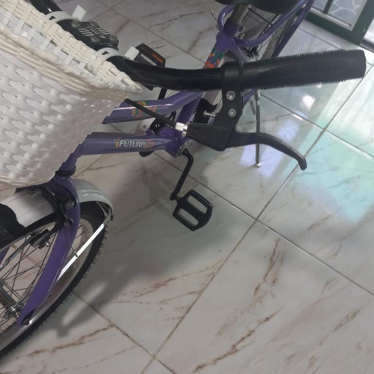 BICICLETA DE NIÑA RODADO 20 en Ciudad Celina - Imagen 2