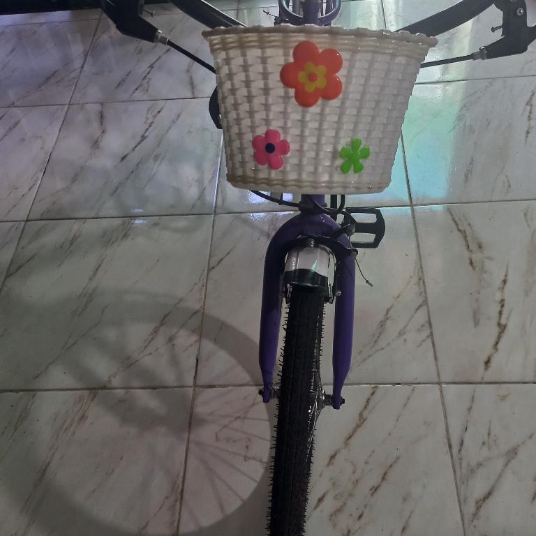 BICICLETA DE NIÑA RODADO 20 en Ciudad Celina - Imagen 5