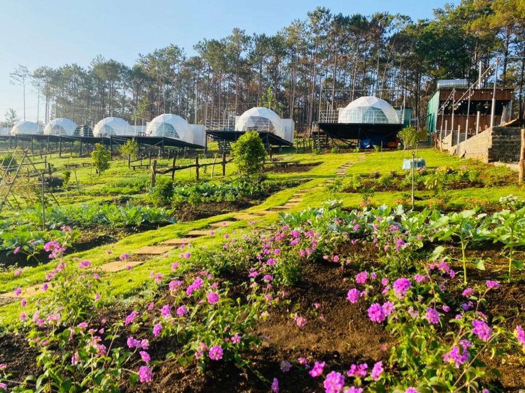 Vuon An Nhien Resort in Vietnam - Image 1