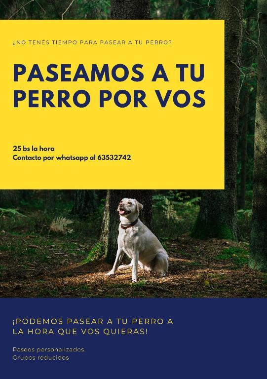 PASEADOR DE PERROS CON EXPERIENCIA en Santa Cruz de la Sierra - Imagen 1