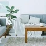 Teak Stripe Design Sofa Set in Malaysia - Image 2