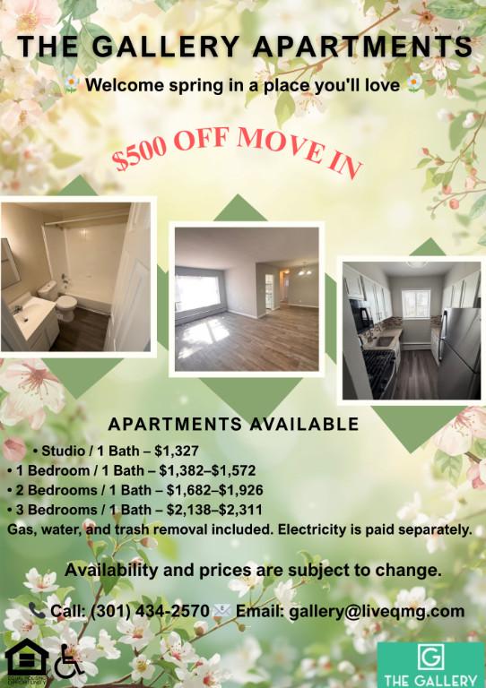 Spring Into Your New Home! in Silver Spring - Image 1
