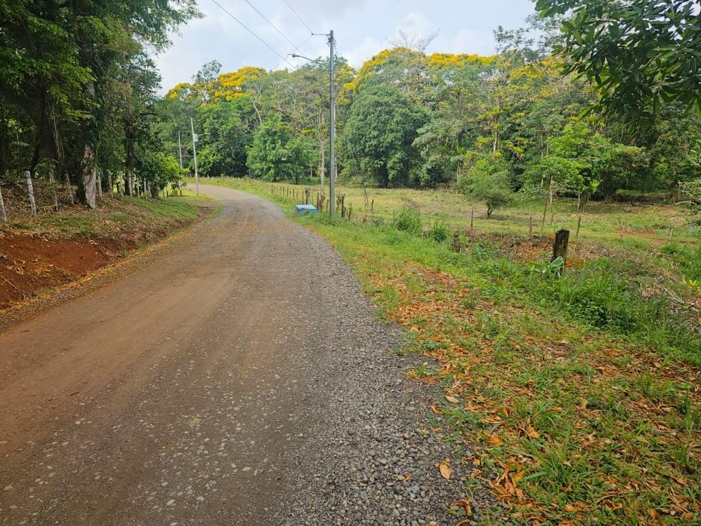SE VENDE BELLÍSIMA FINCA EN BIJAGUAL, TURRUBARES. en Desamparados - Imagen 1