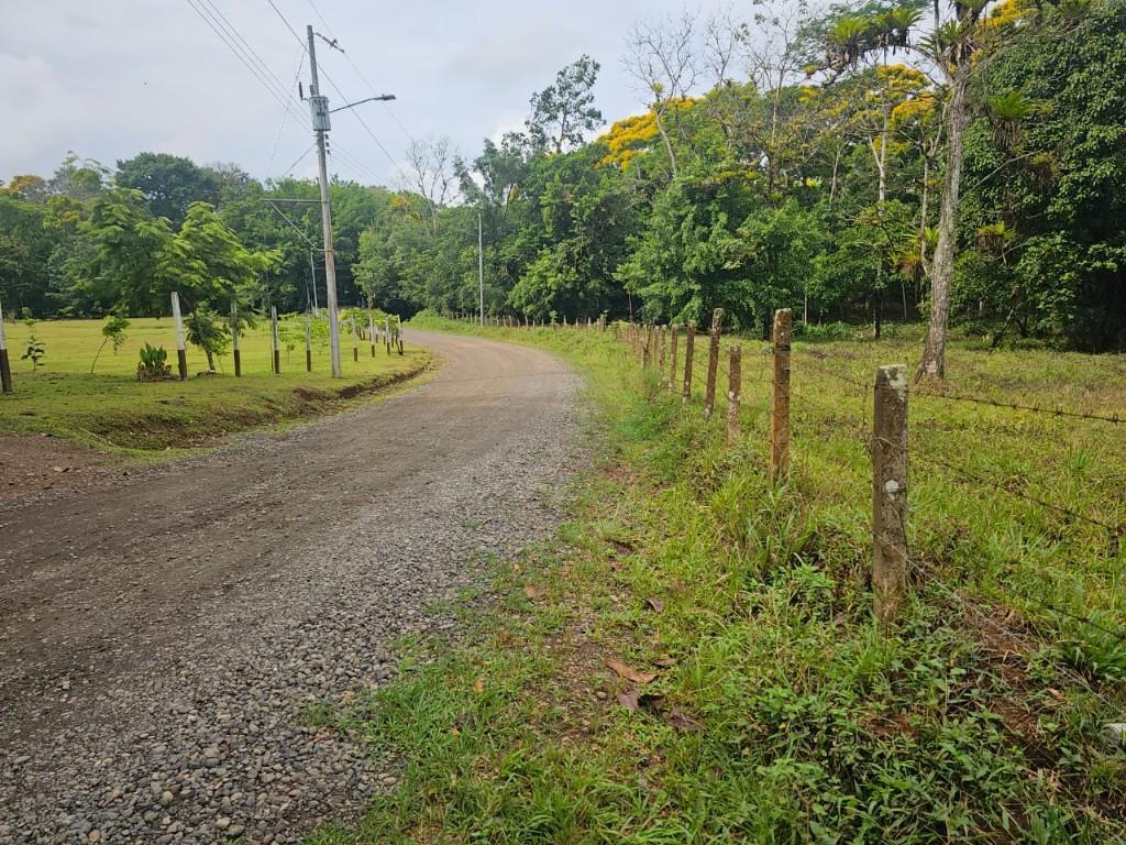 SE VENDE BELLÍSIMA FINCA EN BIJAGUAL, TURRUBARES. en Desamparados - Imagen 2