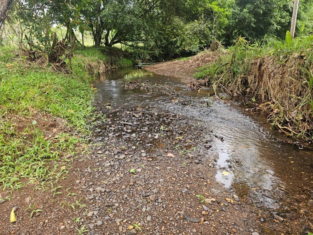 SE VENDE BELLÍSIMA FINCA EN BIJAGUAL, TURRUBARES. en Desamparados - Imagen 6