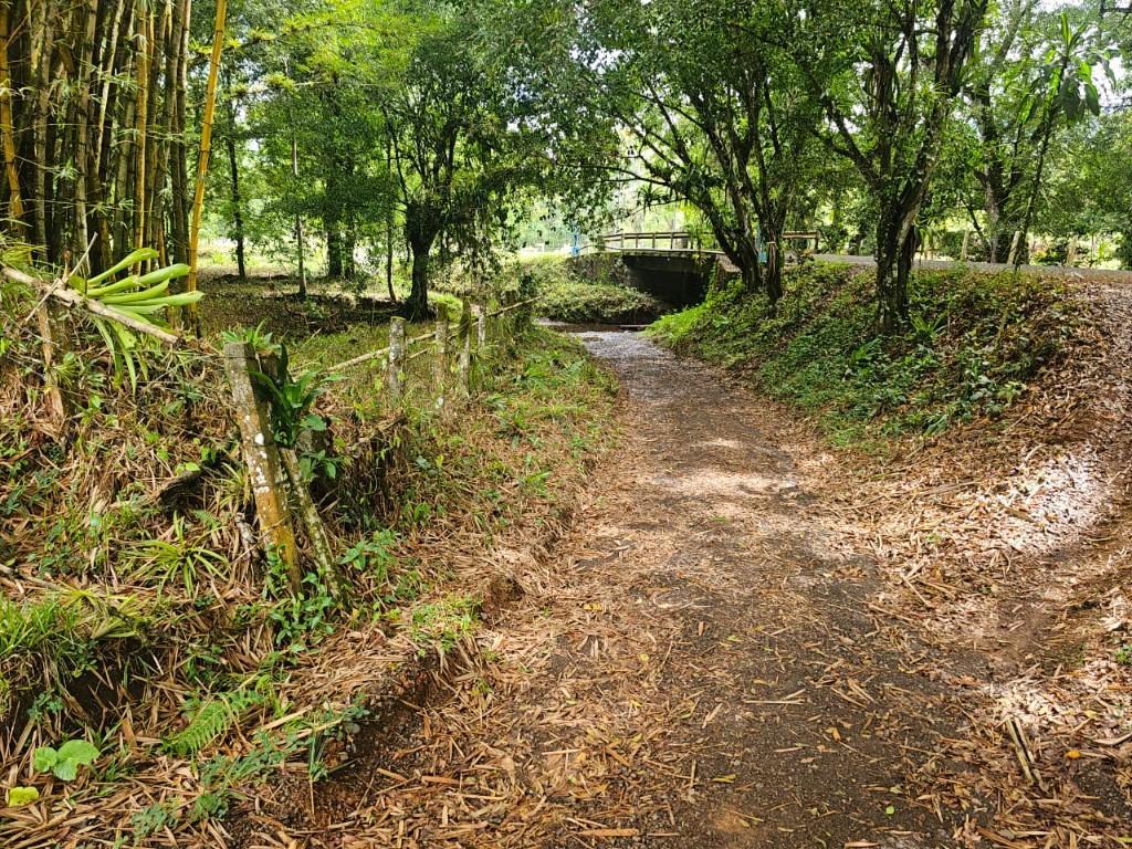 SE VENDE BELLÍSIMA FINCA EN BIJAGUAL, TURRUBARES. en Desamparados - Imagen 9