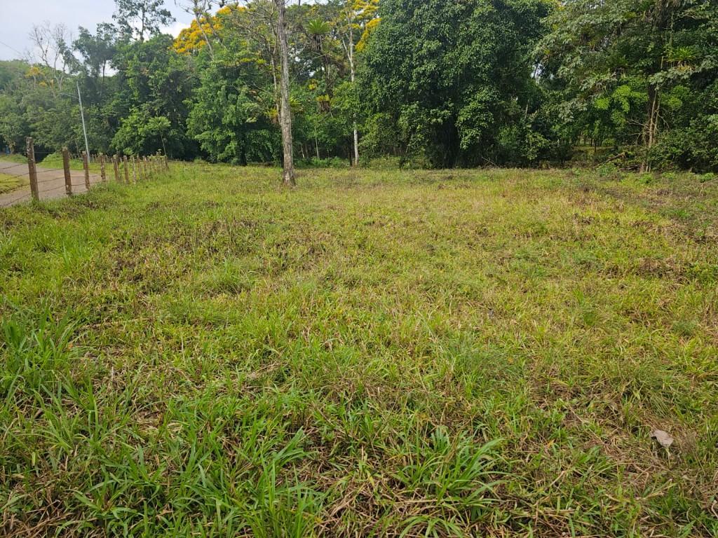SE VENDE BELLÍSIMA FINCA EN BIJAGUAL, TURRUBARES. en Desamparados - Imagen 11