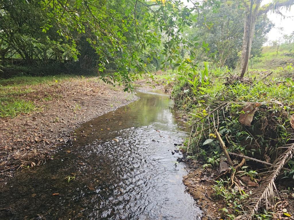 SE VENDE BELLÍSIMA FINCA EN BIJAGUAL, TURRUBARES. en Desamparados - Imagen 13