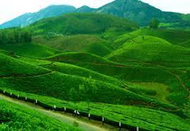 Best outing with Car Rental Tour packages in India in Kerala in Ahmedabad - Image 3
