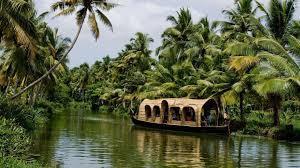 Best outing with Car Rental Tour packages in India in Kerala in Ahmedabad - Image 4