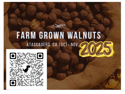 California walnuts in shell from Golden Walnuts in San Antonio - Image 6