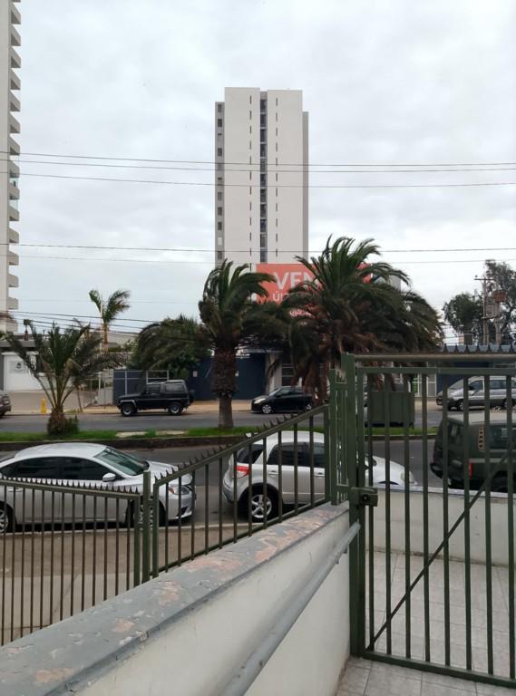 ROMMIE,ROMMATE COMPARTO DEPTO CÉNTRICO SECTOR VELÁSQUEZ en Arica - Imagen 1