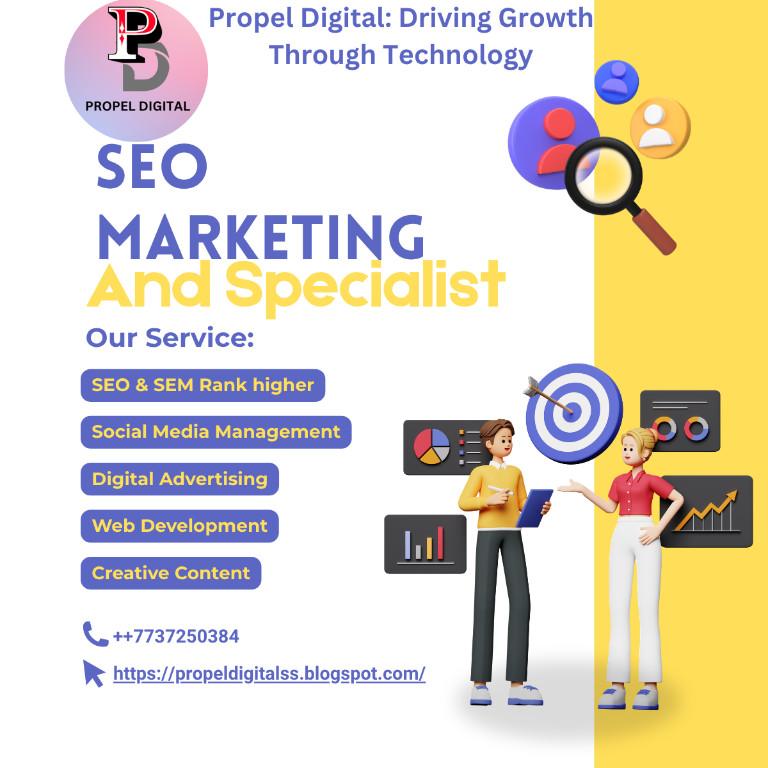 Propel Digital Driving Growth Through Technology in Vaishali Nagar - Image 2