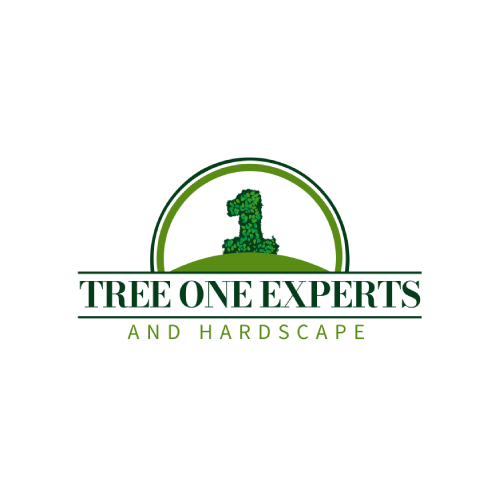 Tree One Experts in Dover, NJ 07801 in Plainfield - Image 1