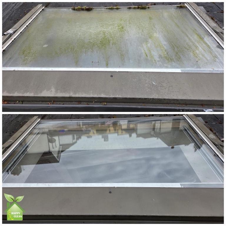 PROFESSIONAL WINDOW CLEANING in Dublin - Image 1