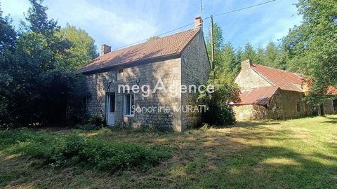 LIGNIERES ORGERES MAISON AVEC PARCELLE PIN DOUGLAS à Alençon - Photo 1