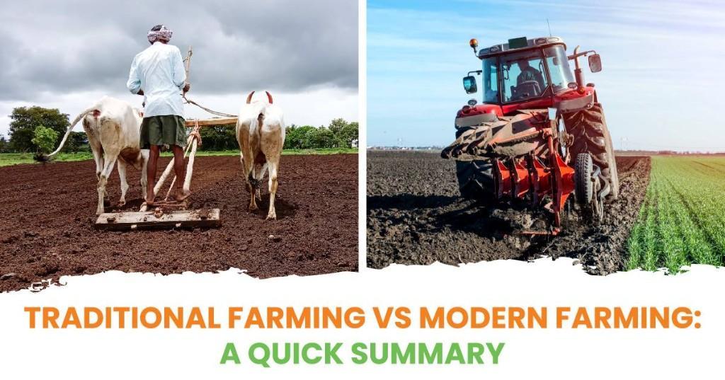 Agrikarm Explores Traditional Farming vs Modern Farming Methods in Daman - Image 1