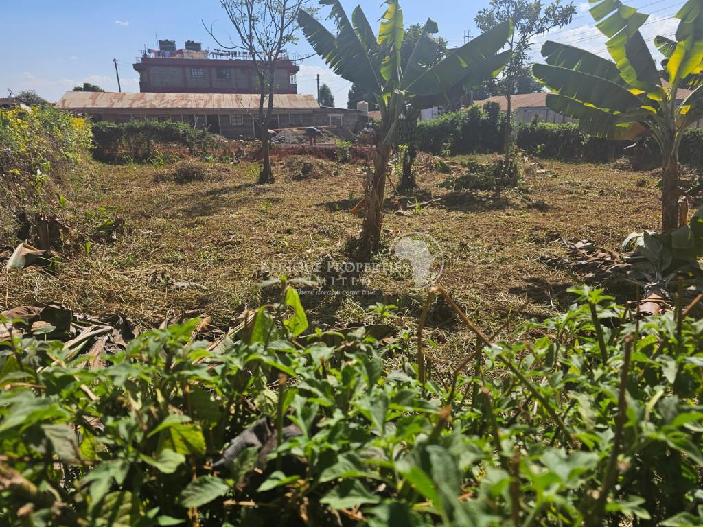 Prime 50ft by 100ft Commercial Plot For Sale In Muthiga in Kenya - Image 3