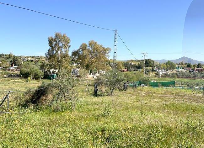 ¡OPORTUNIDAD! FINCA RÚSTICA DE 5043M2 DE REGADIO EN CÁRTAMA en Alhaurín de la Torre - Imagen 1