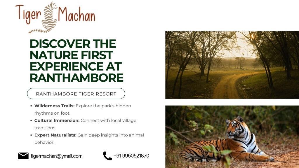 Discover the Nature First Experience at Ranthambore in Kota - Image 1