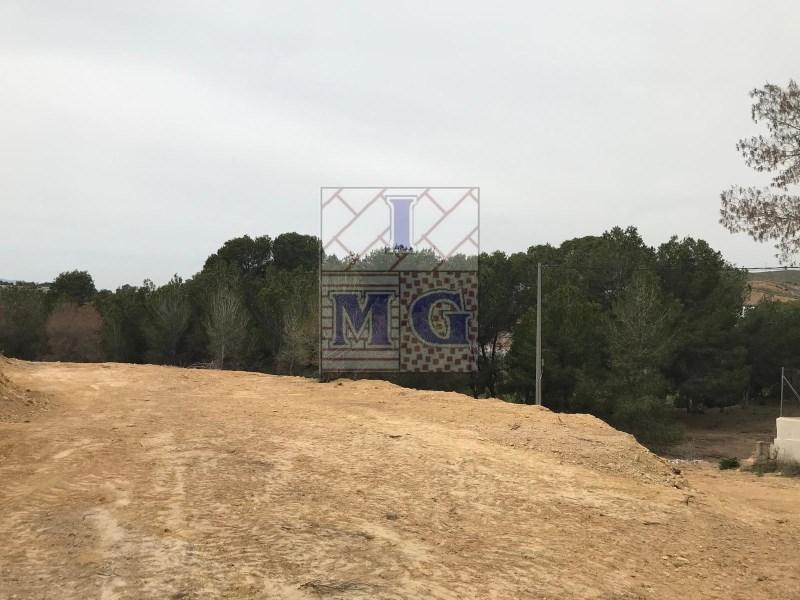 PARCELA RUSTICA en Orihuela - Imagen 1