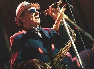 Van Morrison LIVE in Weyhe - Bild 1