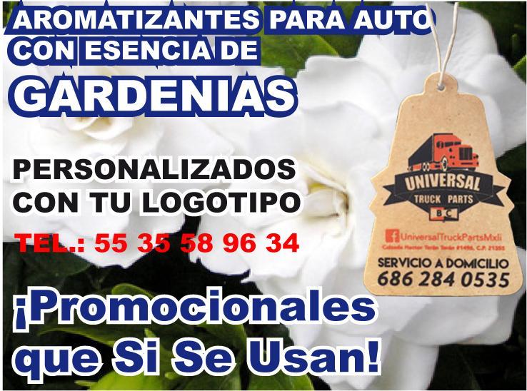 TARJETAS DESODORANTES PARA AUTOS CON AROMA DE ROSAS en Interlomas - Imagen 2