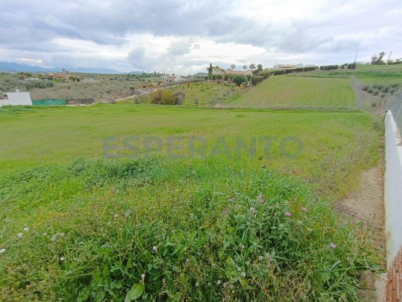 FINCA RÚSTICA. ENTRE CÁRTAMA Y ALH. EL GRANDE. en Alhaurín de la Torre - Imagen 1