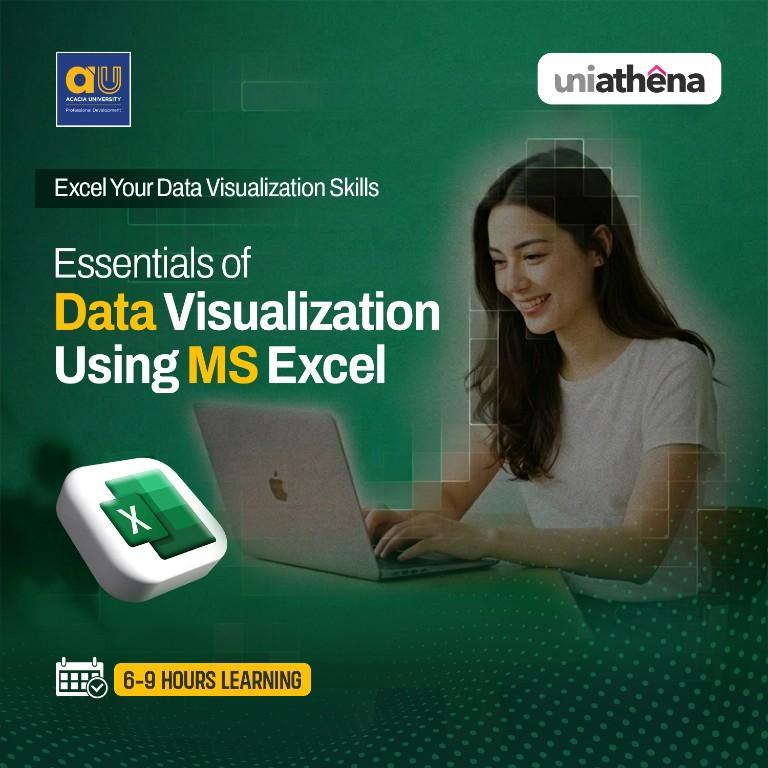 Free Certificate Course in Data Visualization with Excel | in Jammu - Image 1
