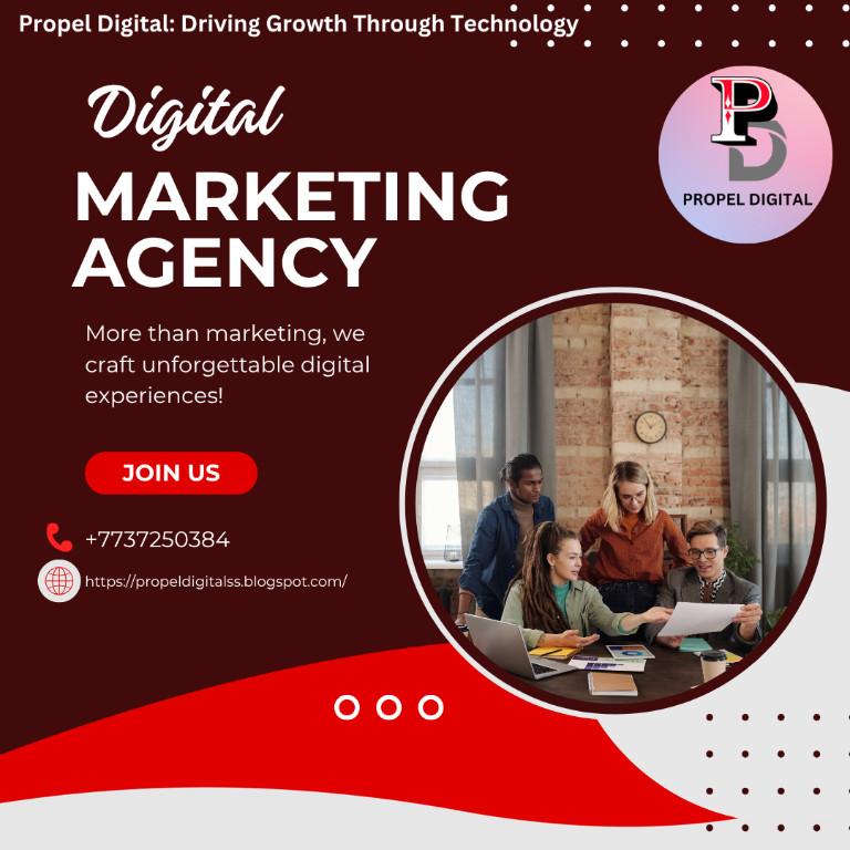 Propel Digital Driving Growth Through Technology in Vaishali Nagar - Image 2