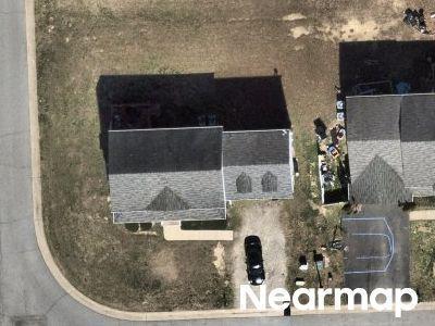 Bareback Ter in Richmond - Image 1
